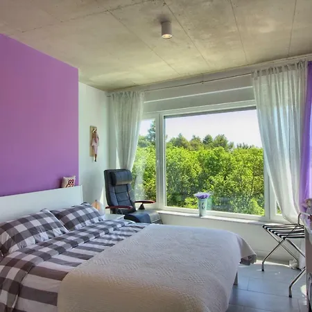 Beautiful Modern Windrose In Vila Krnica
