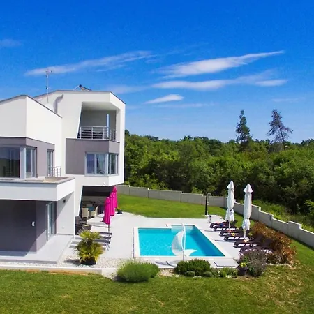 Beautiful Modern Windrose In